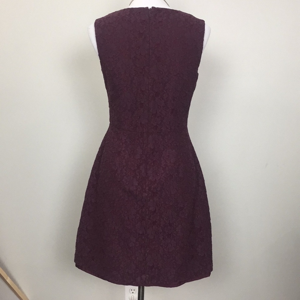 Lace Shift Dress - Picture 3 of 3